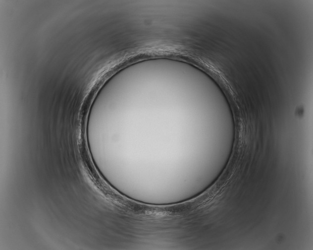 X0000116460582200912090929