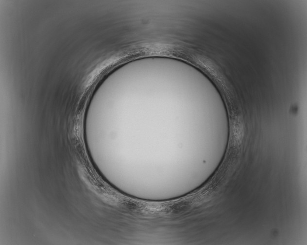 X0000116460583200912090929