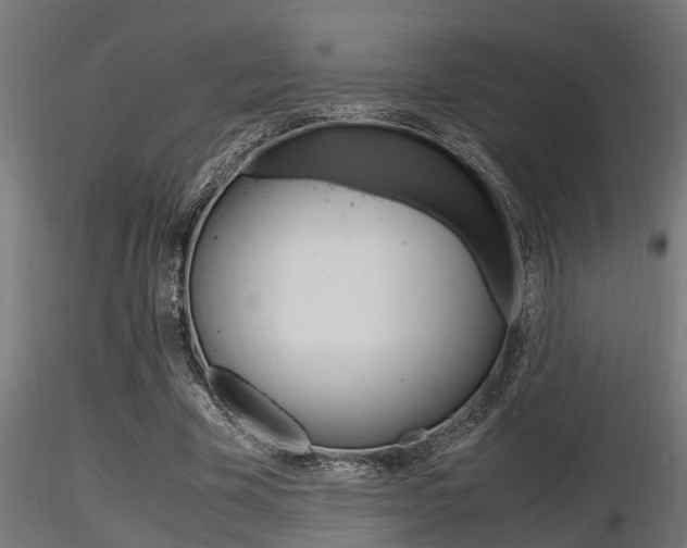 X0000116460585200912090929