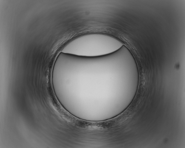 X0000116460586200912090929