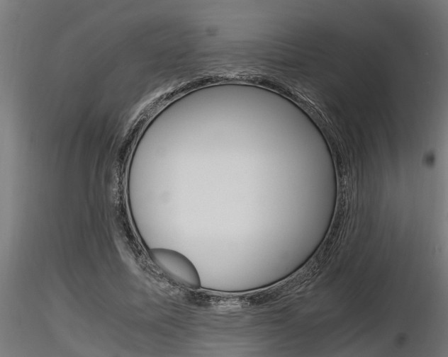X0000116460587200912090929