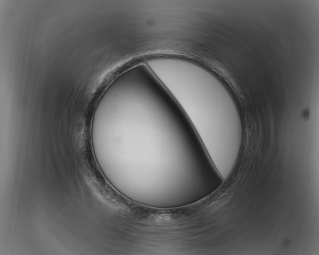 X0000116460588200912090929