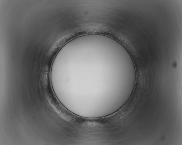 X0000116460590200912090929