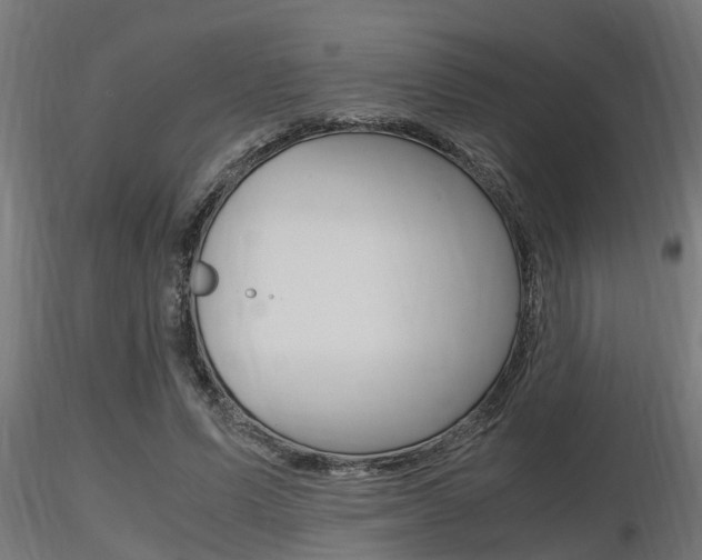X0000116460591200912090929