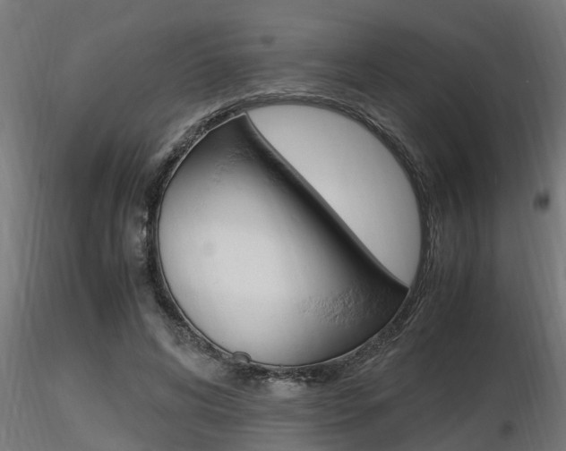 X0000116460592200912090929
