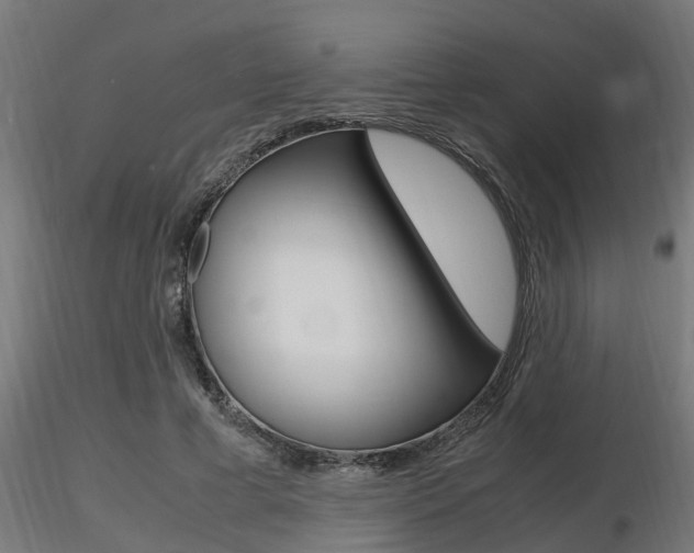 X0000116460593200912090929