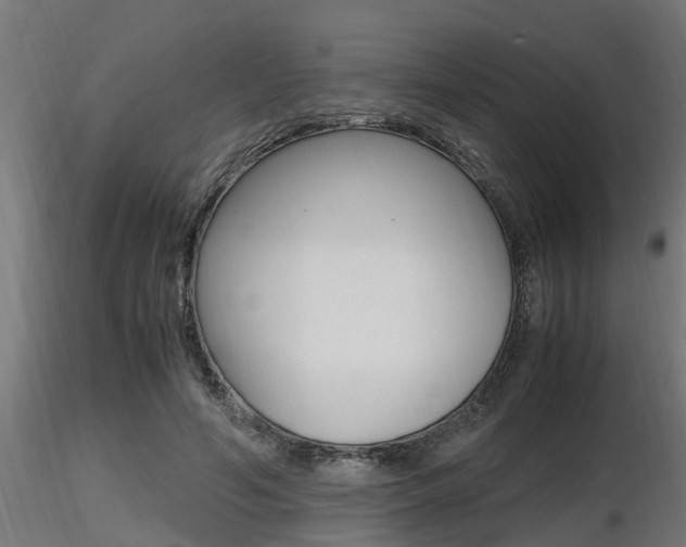 X0000116460594200912090929