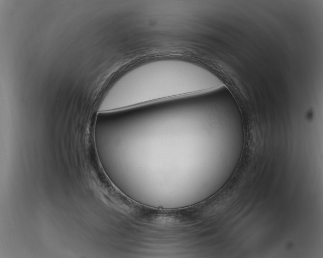 X0000116460596200912090929