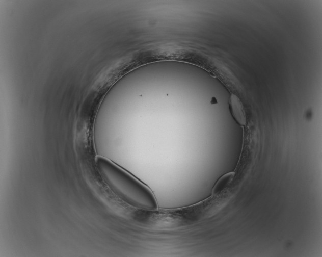 X0000116460597200912090929