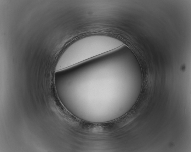 X0000116460600200912090929