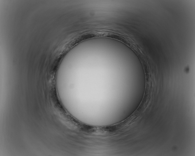 X0000116460601200912090929