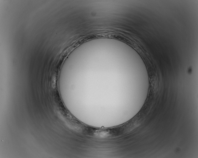 X0000116460602200912090929
