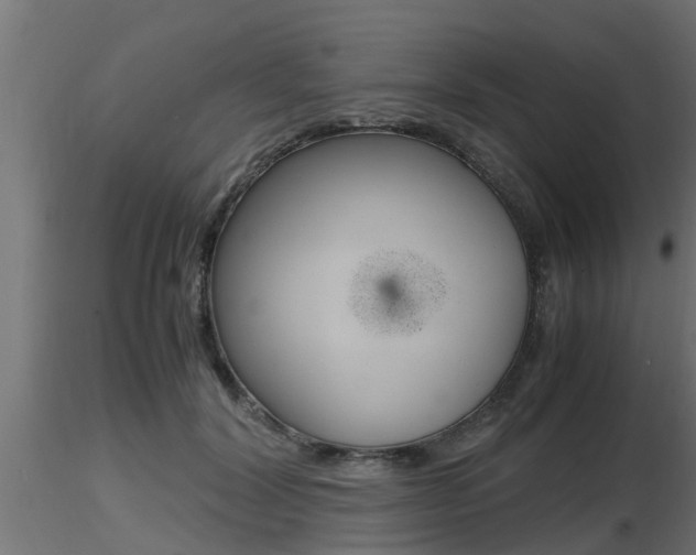 X0000116460604200912090929