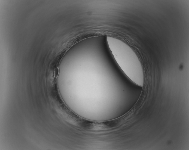 X0000116460605200912090929