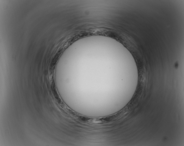 X0000116460607200912090929
