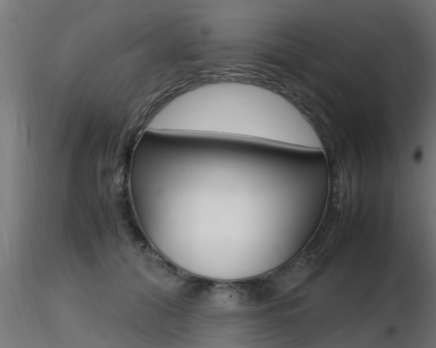X0000116460608200912090929