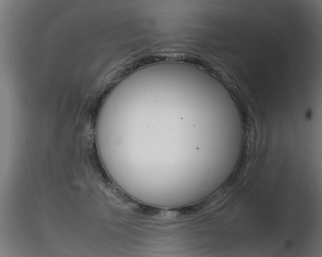 X0000116460609200912090929