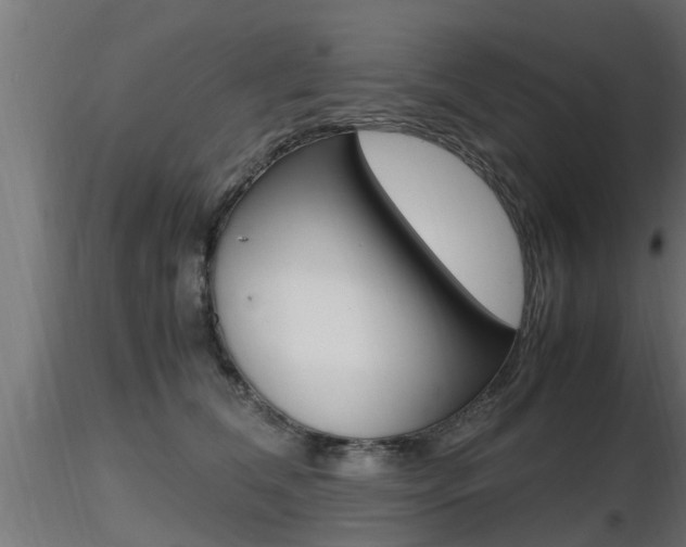 X0000116460612200912090929