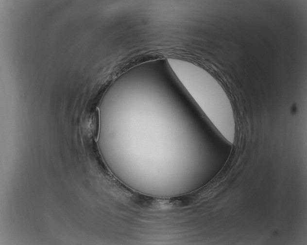 X0000116460613200912090929