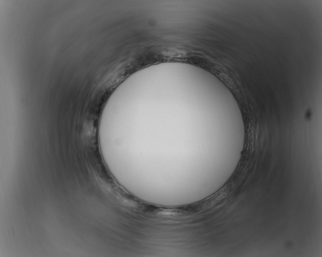 X0000116460614200912090929