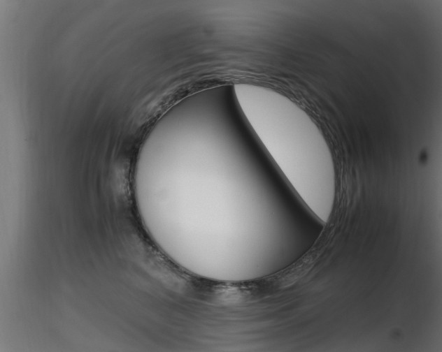X0000116460616200912090929