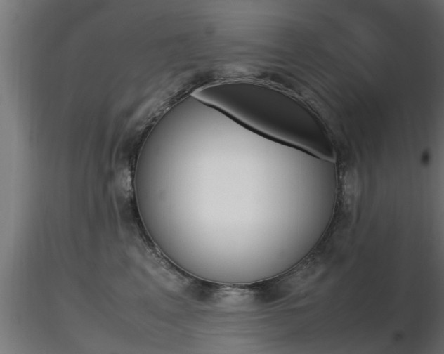 X0000116460617200912090929