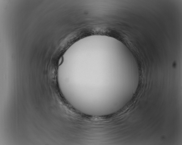 X0000116460619200912090929