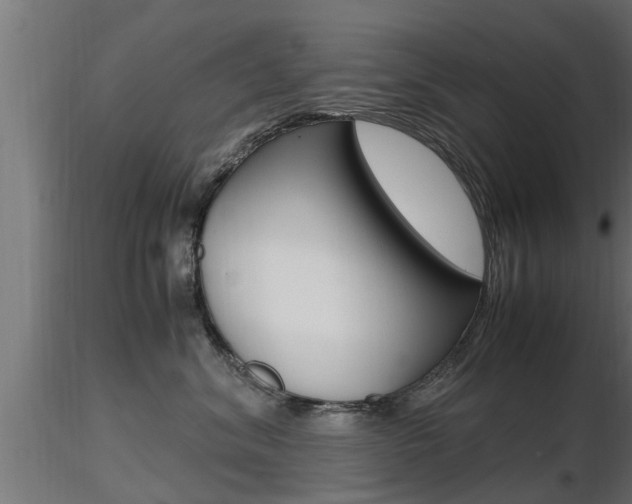 X0000116460620200912090929