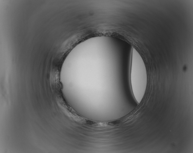 X0000116460623200912090929