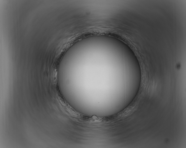 X0000116460624200912090928