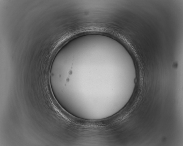 X0000116460625200912090928