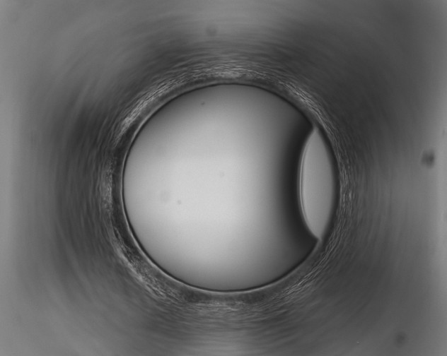 X0000116460626200912090928