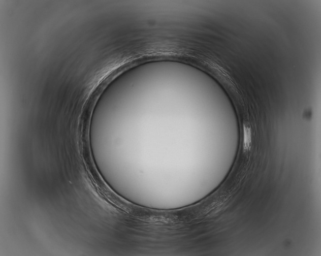 X0000116460627200912090928