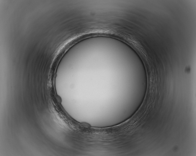 X0000116460628200912090928