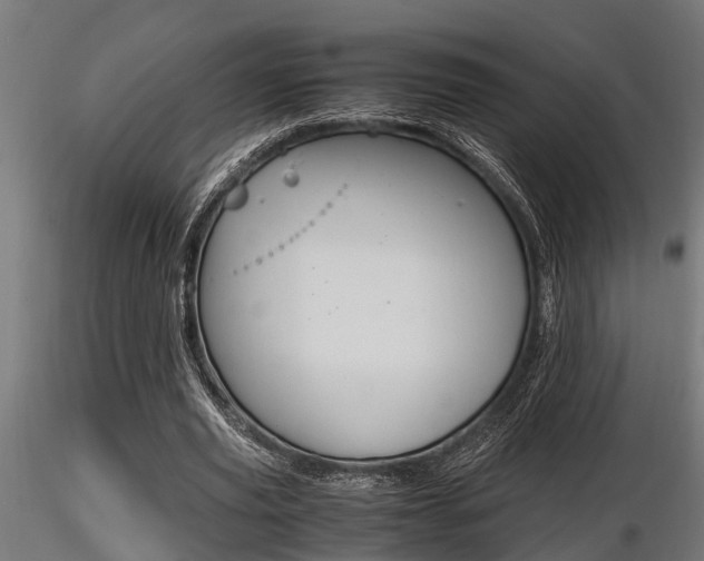 X0000116460629200912090928