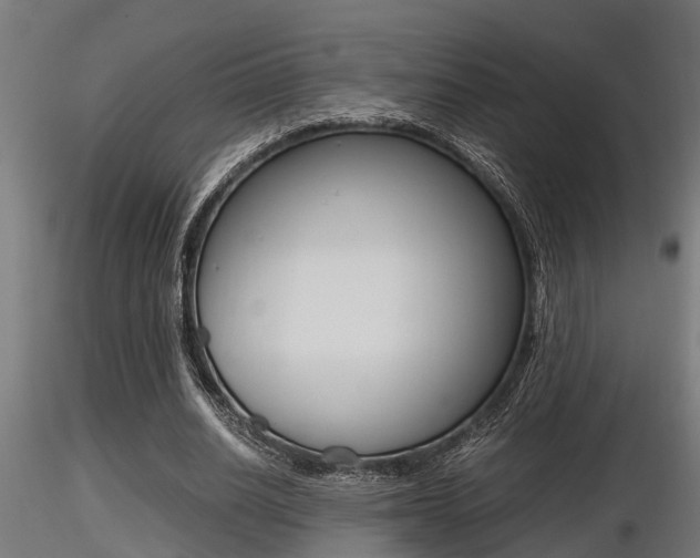 X0000116460630200912090928