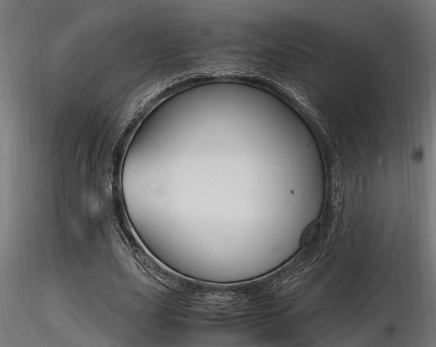 X0000116460631200912090928
