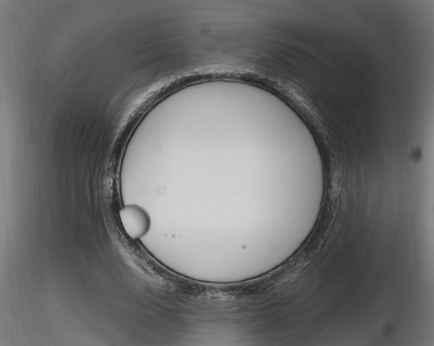X0000116460632200912090928