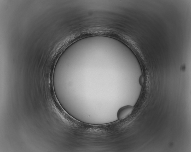 X0000116460633200912090928