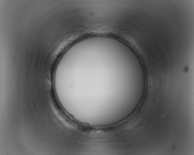 X0000116460634200912090928