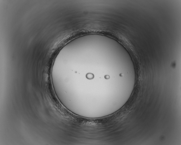 X0000116460635200912090928