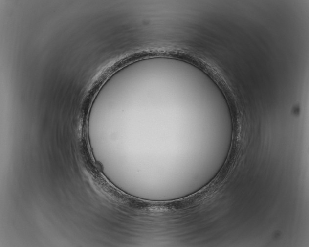 X0000116460636200912090928