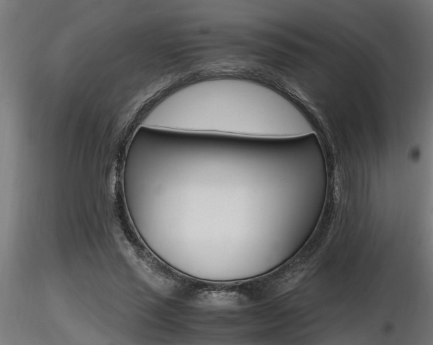 X0000116460637200912090928