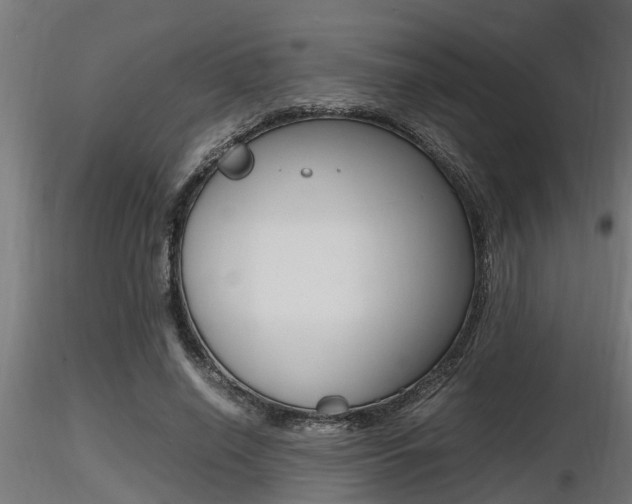 X0000116460638200912090928
