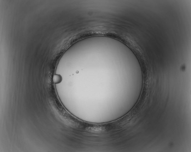 X0000116460639200912090928