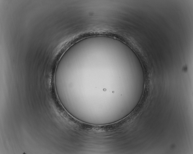 X0000116460640200912090928