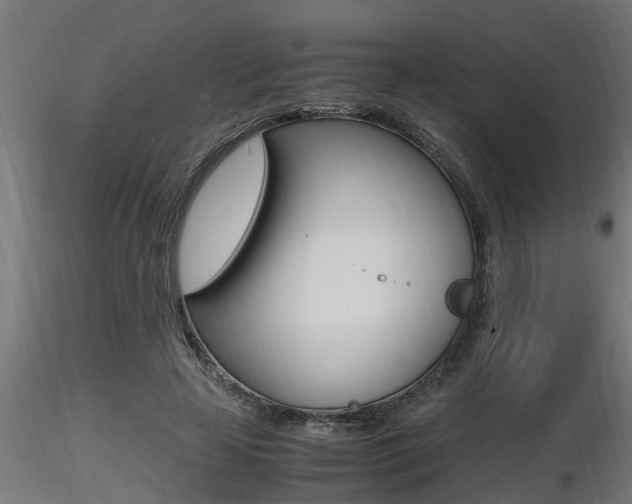 X0000116460641200912090928