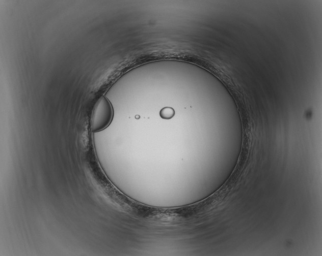 X0000116460642200912090928