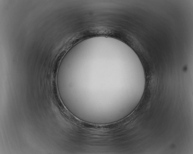 X0000116460643200912090928