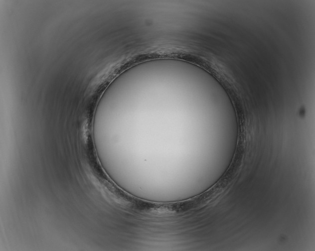 X0000116460644200912090928